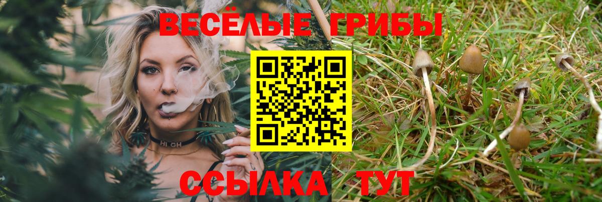 Псилоцибиновые грибы Psilocybe  Вход с VPN  Красногорск 