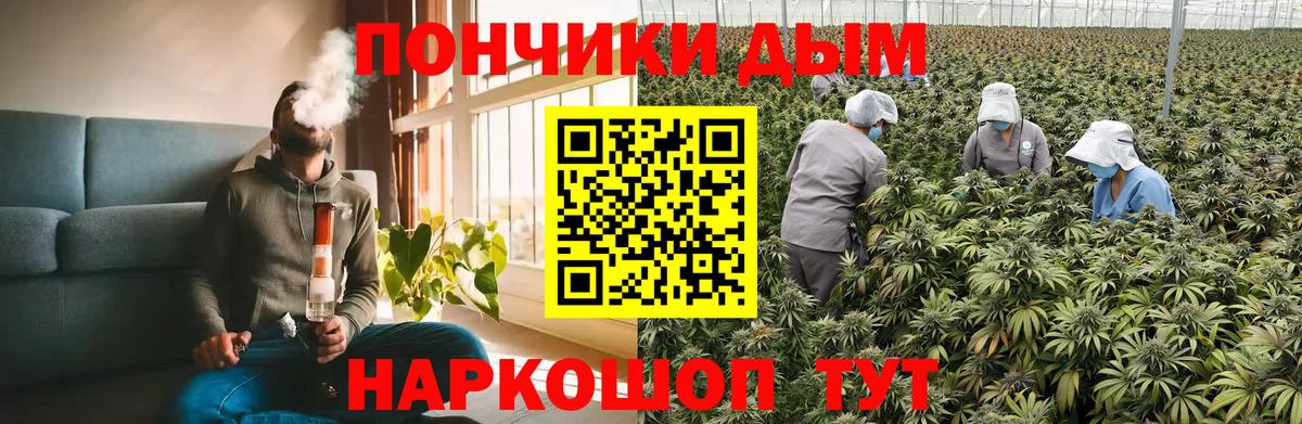 Красногорск  Марихуана семена  Бошки Шишки план  Шишки марихуана AK-47  Вход с VPN 